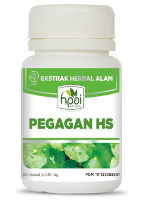 PEGAGAN HS